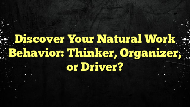 Discover Your Natural Work Behavior: Thinker, Organizer, or Driver?