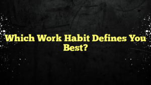 Which Work Habit Defines You Best?